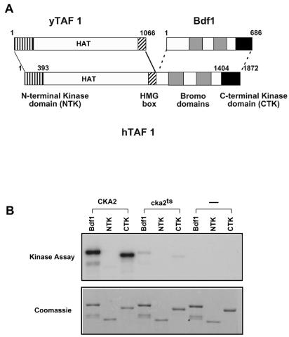 FIG. 8.