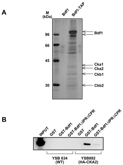 FIG. 6.