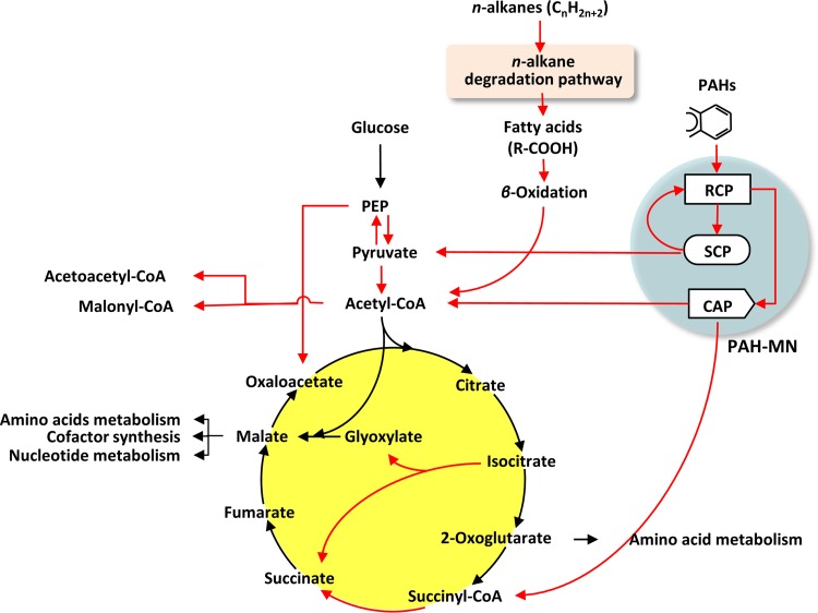 FIG 6