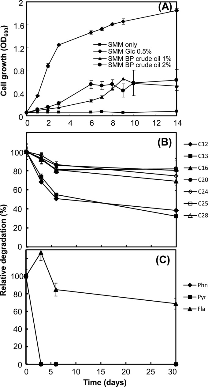 FIG 1