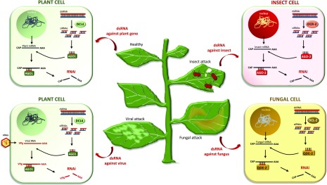 Figure 3.