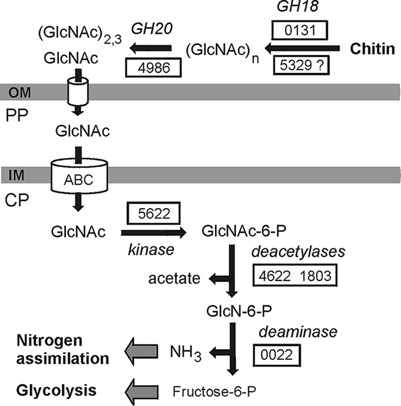 FIG 3