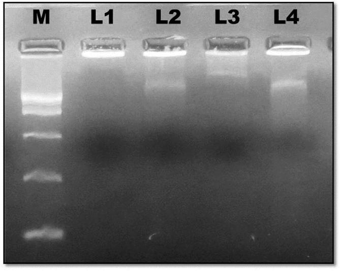 Fig. 5