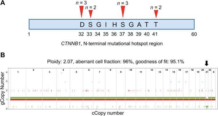 PATH-5180-FIG-0001-c