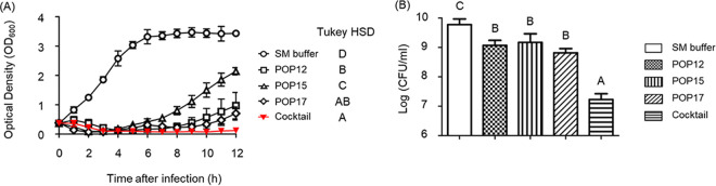 FIG 2