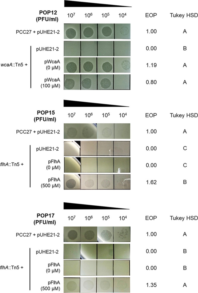 FIG 1