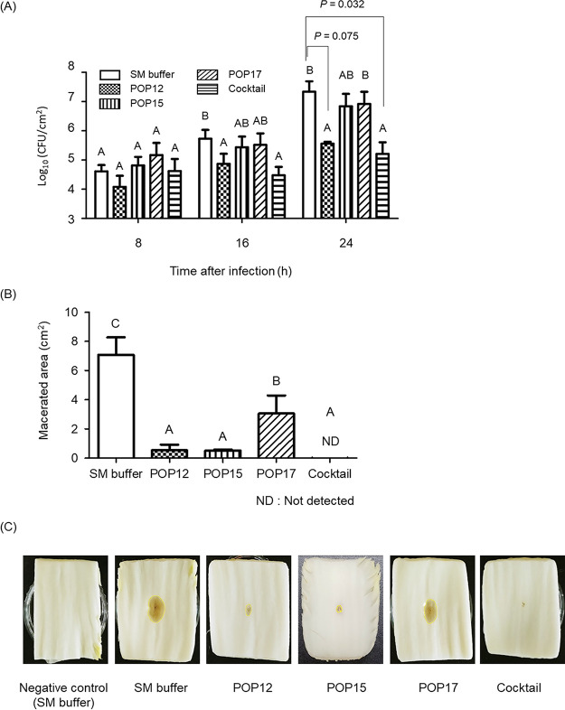 FIG 3