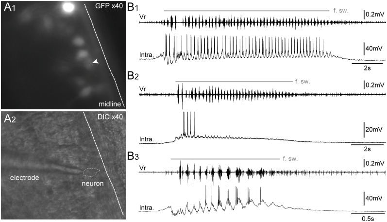 Fig 10