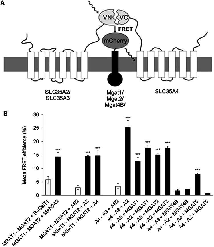 Fig. 4