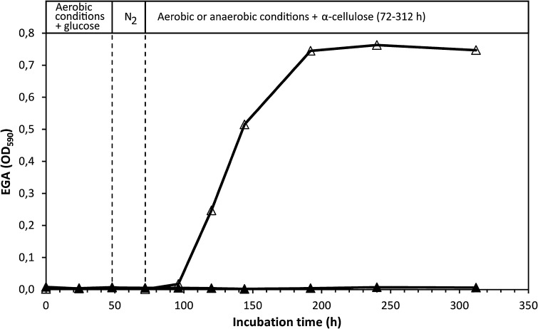 Fig. 6