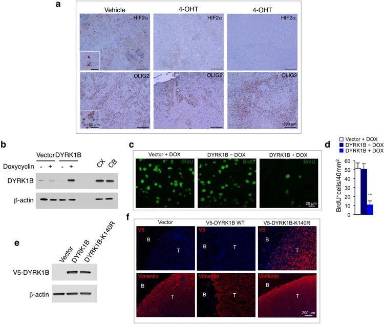 Extended Data Figure 8