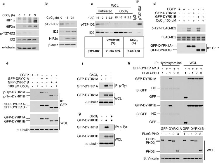 Extended Data Figure 3
