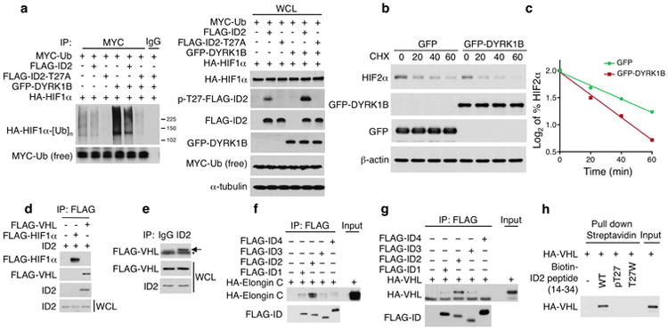Extended Data Figure 5
