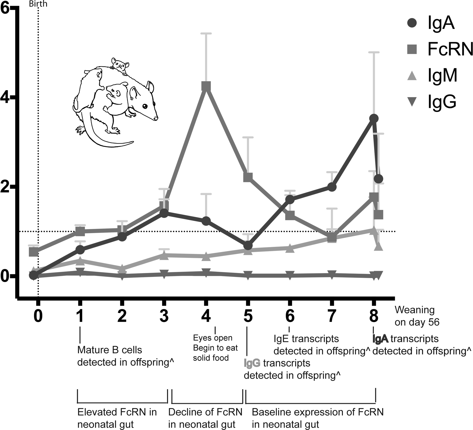 Figure 6: