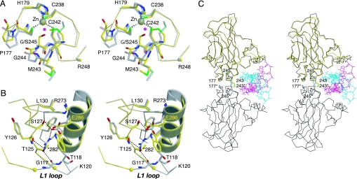 Fig. 3.