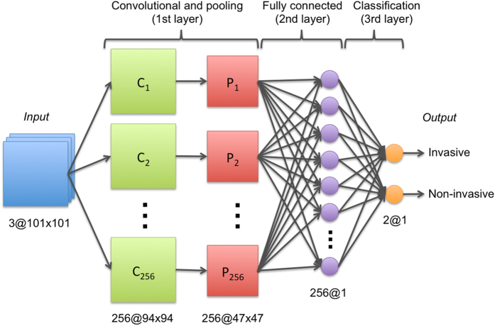 Figure 11