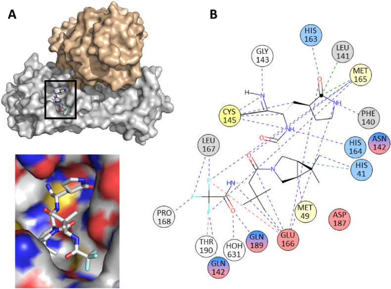 Fig. 10