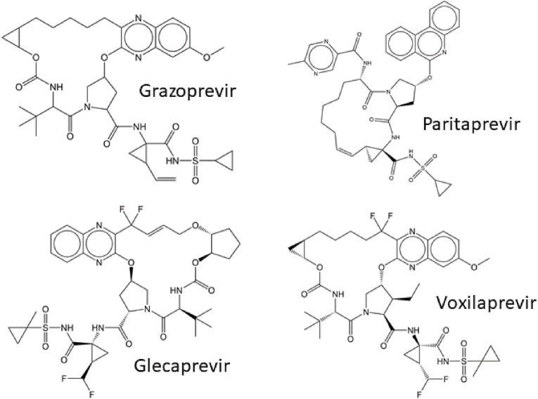 Fig. 7