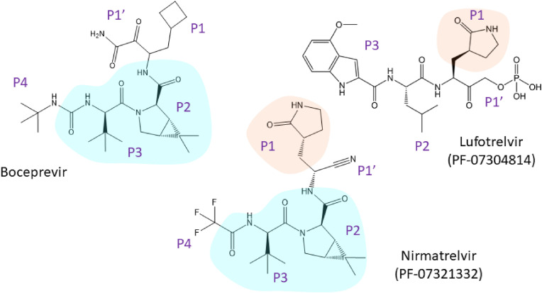 Fig. 9