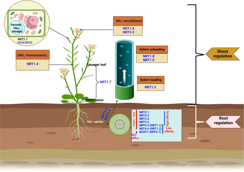 Figure 1