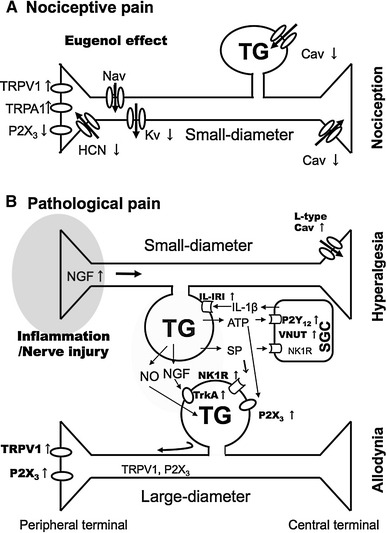 Fig. 3