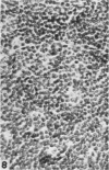 394-5