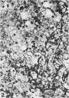 394-1