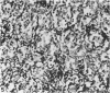 394-3