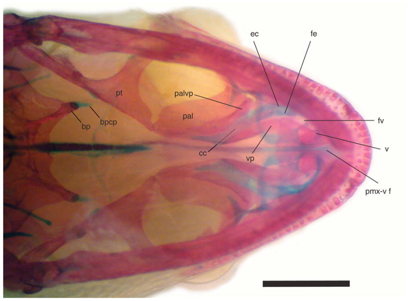 Figure 10