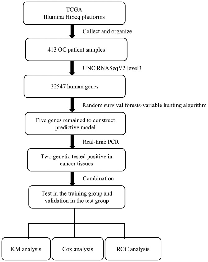 Figure 1.