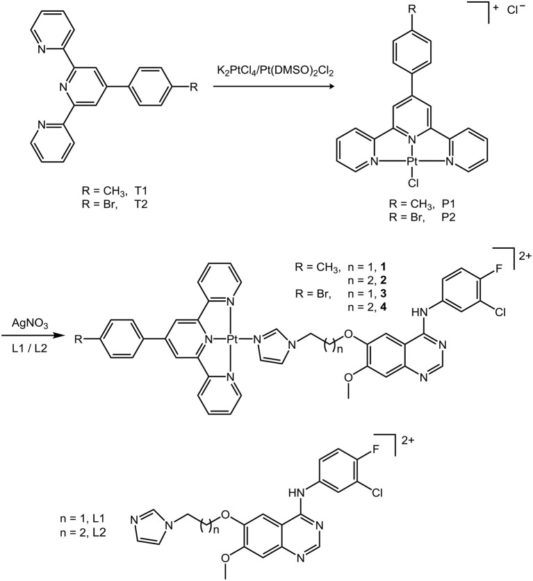 Scheme 1