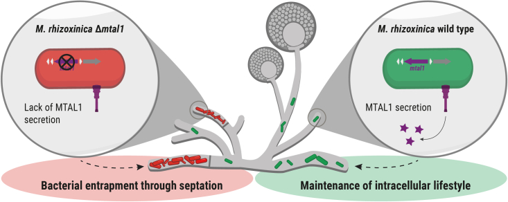 Figure 6