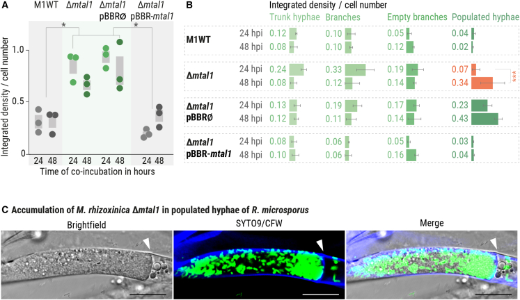 Figure 3