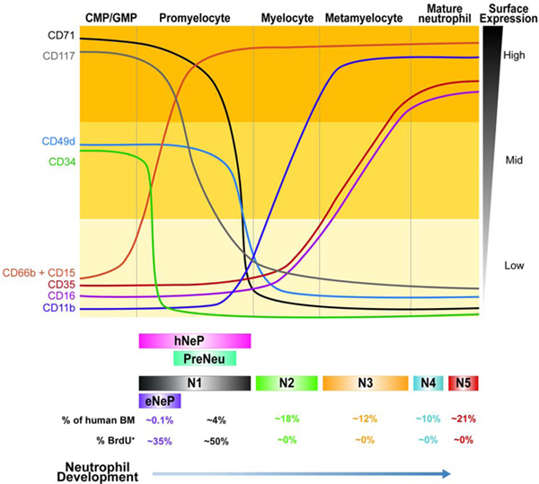 graphic file with name nihms-1620412-f0008.jpg