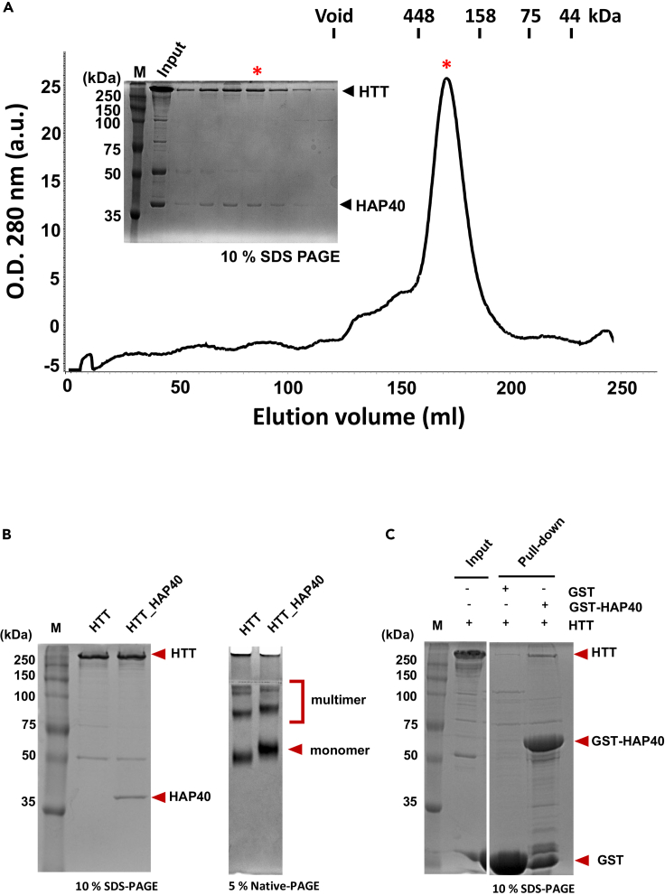 Figure 6