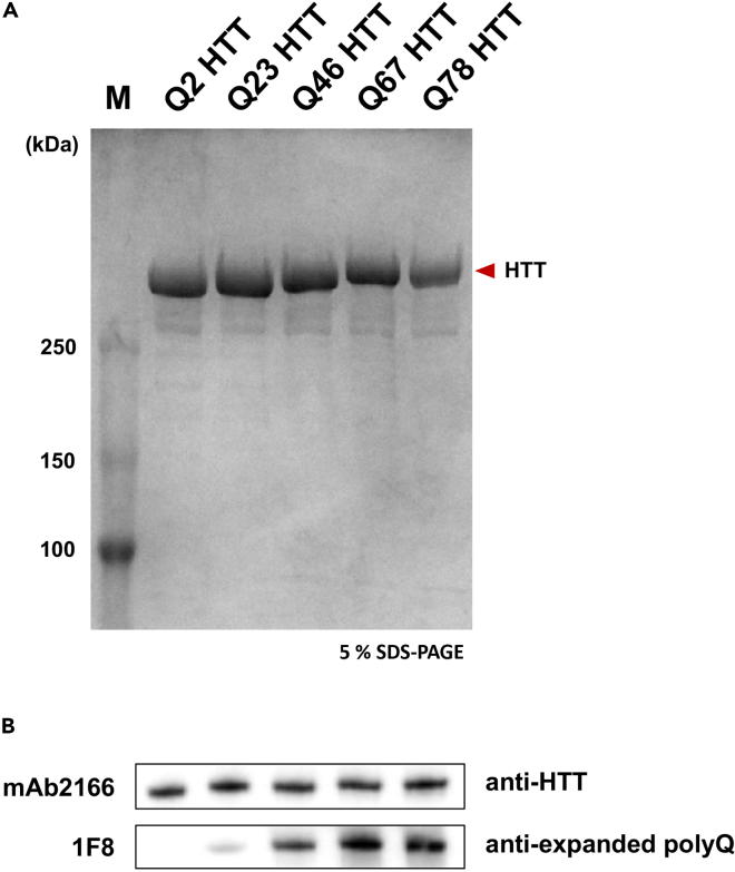 Figure 5