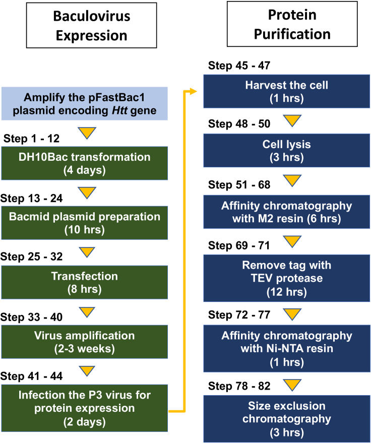 Figure 2