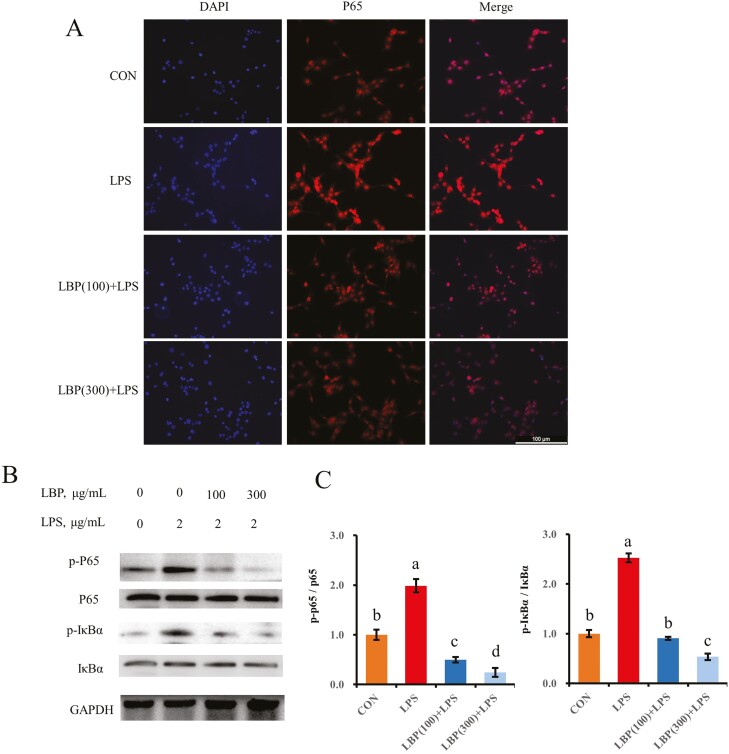 Figure 6.