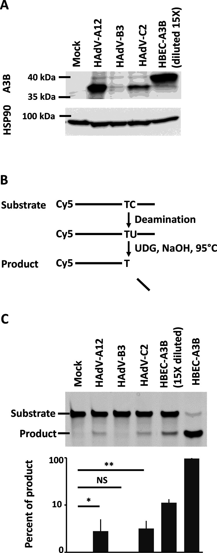 FIG 4