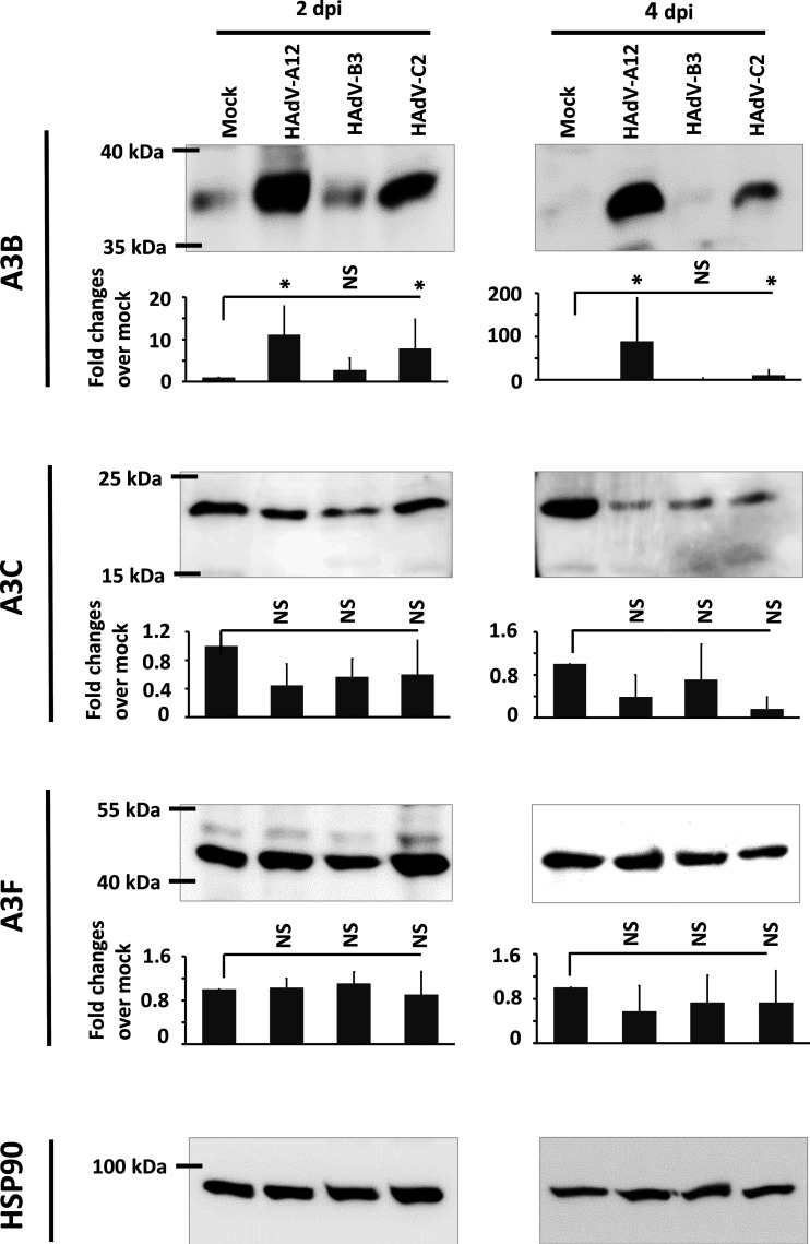 FIG 2