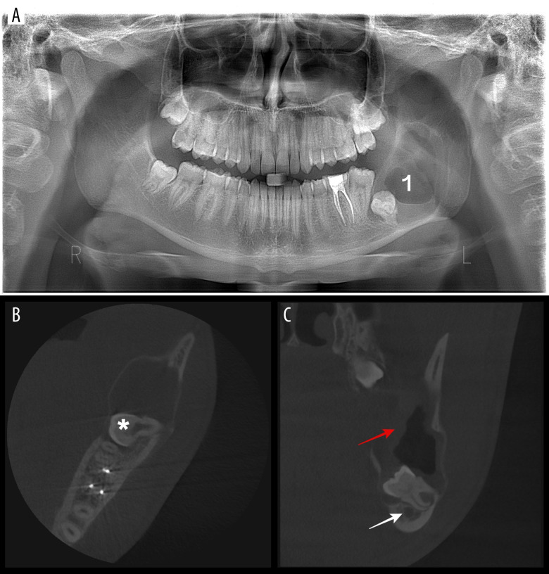 Figure 1.