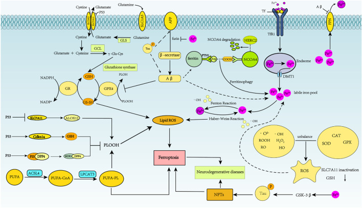 FIGURE 3