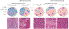 Fig. 2 |