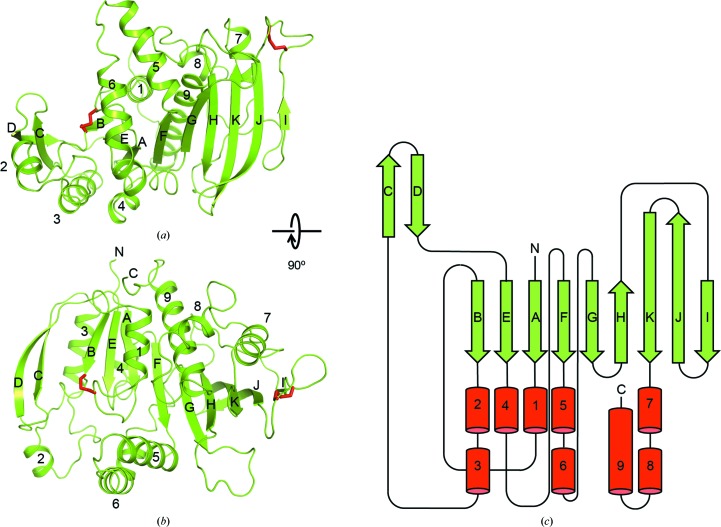 Figure 4