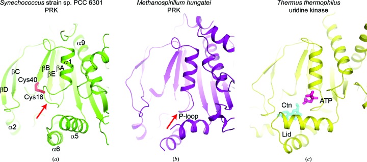 Figure 6