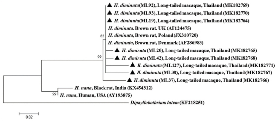 Figure-2