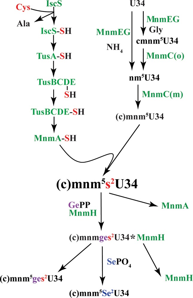 Fig 3