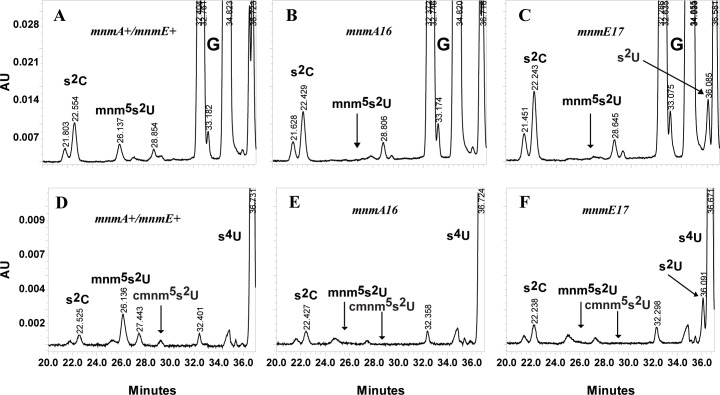 Fig 4