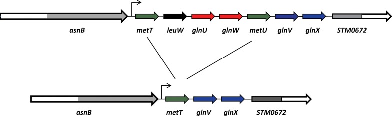 Fig 5