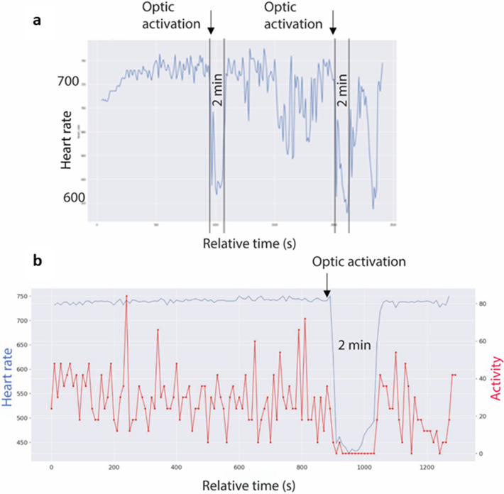 Figure 6.